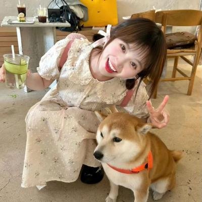茶啊二中第三季