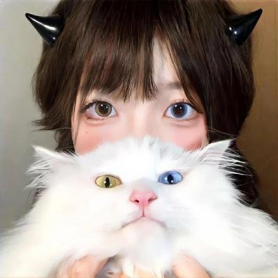 变身机长